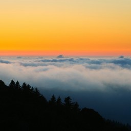 How Marin County’s refusal of BART sparked 4:20