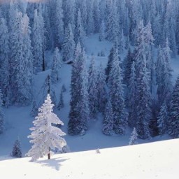 Vail Resorts wants to f*ck the ski biz …and your girlfriend