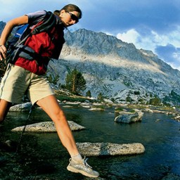 Sierra Club just posted a pair of job openings for its mag which means all the writers are busy ‘tweaking’ their cover letters today